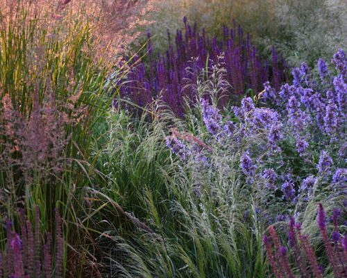 Szumiące ogrody naturalne Anna Płuciennik7